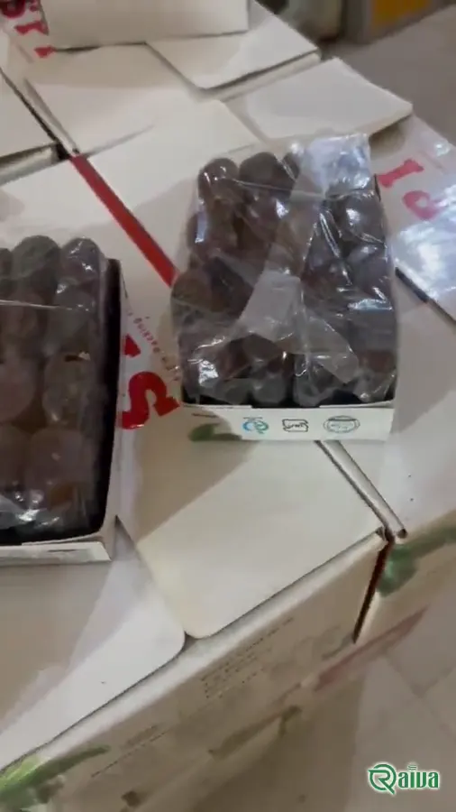 Dry Dates — Date sorting, grading and packing