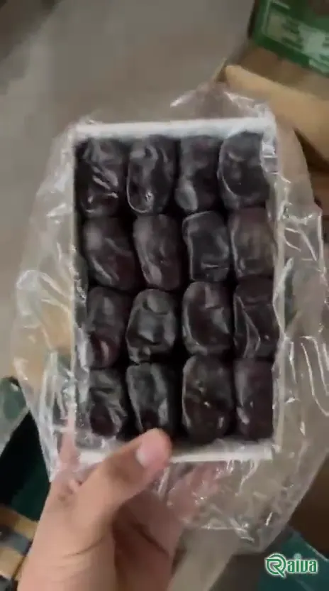 Dry Dates — Date sorting, grading and packing