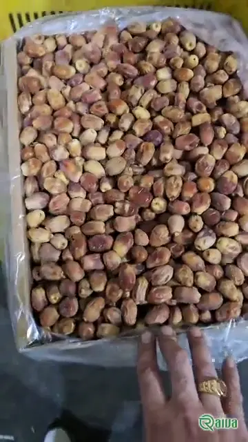 Dry Dates — Date sorting, grading and packing