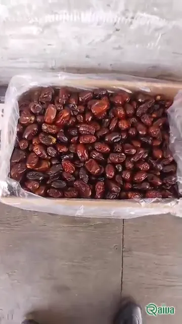 Dry Dates — Date sorting, grading and packing