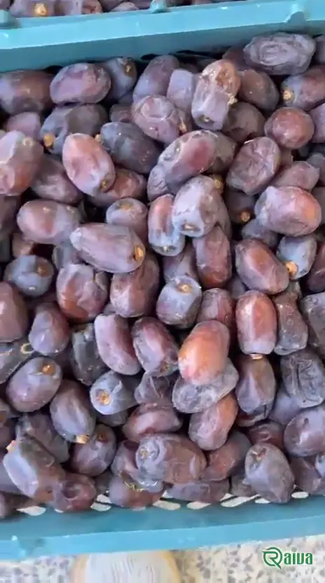 Dry Dates — Date sorting, grading and packing