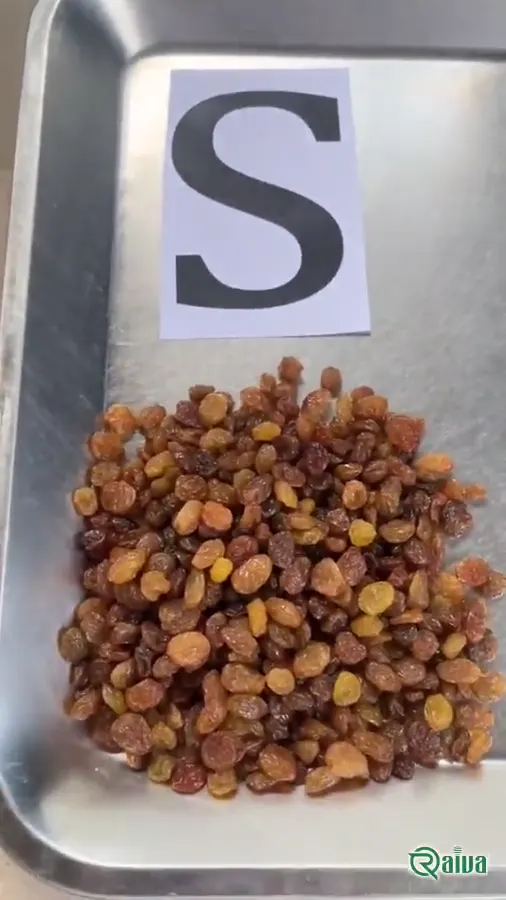 Golden Raisins — Raisin processing and size grading