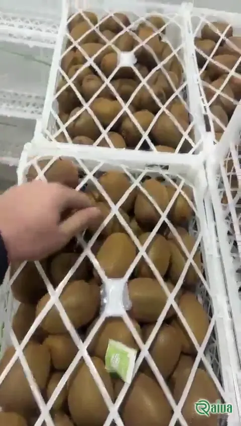 Kiwi — Kiwifruit packing house and cold store