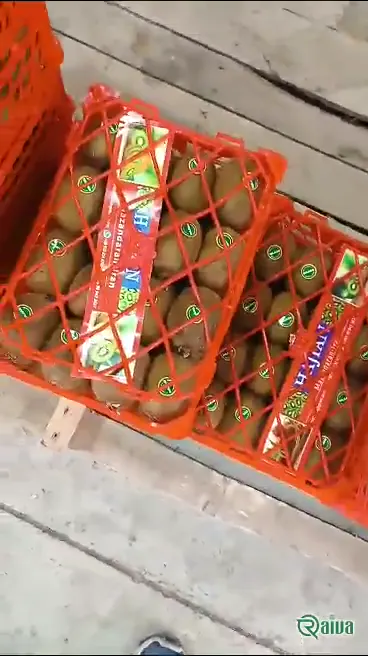Kiwi — Kiwifruit packing house and cold store