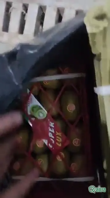 Kiwi — Kiwifruit packing house and cold store