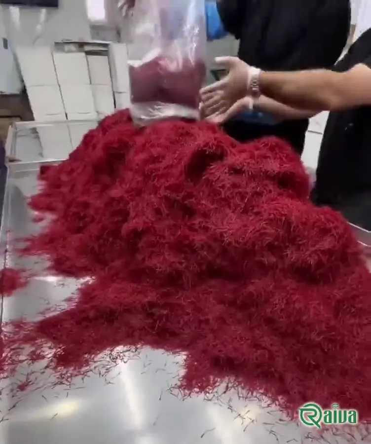 Persian Saffron — Saffron sorting and weighing