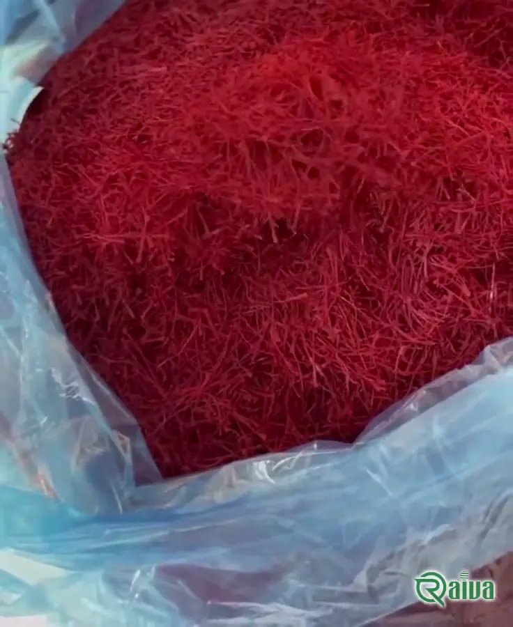 Persian Saffron — Saffron sorting and weighing