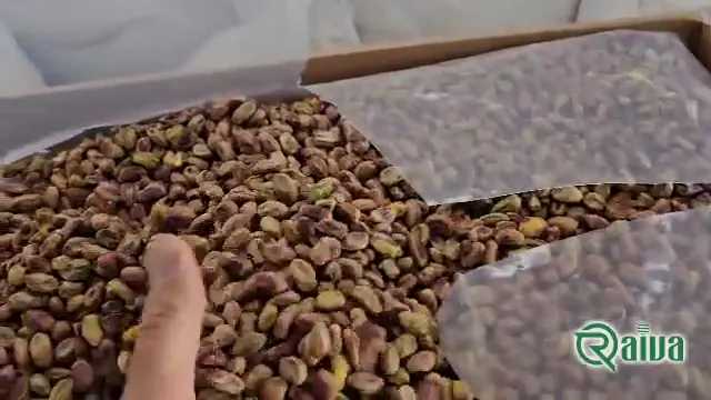 Pistachio — Pistachio grading and bulk packing