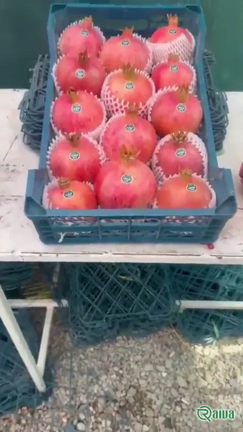Two whole red pomegranates beside a broken piece full of dark red arils (view 2)