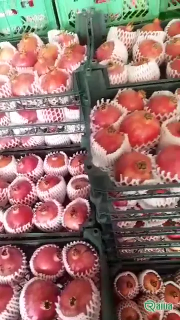 Two whole red pomegranates beside a broken piece full of dark red arils (view 6)