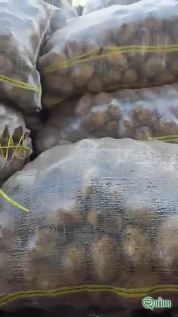 Fresh ware potatoes graded by size (view 1)