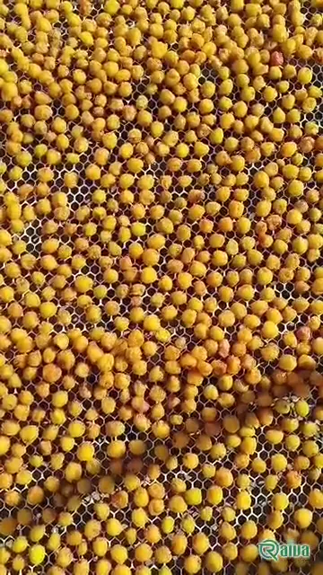 Dried plums with a soft amber skin in a wooden bowl (view 2)