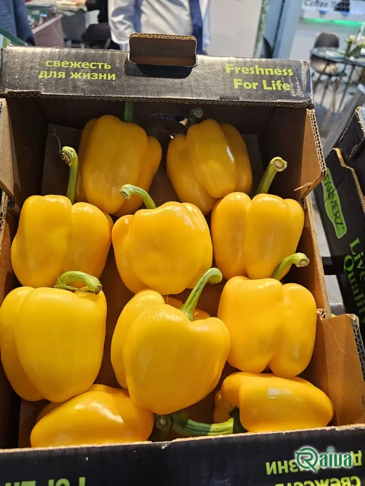 Bell Pepper — Raiva Food