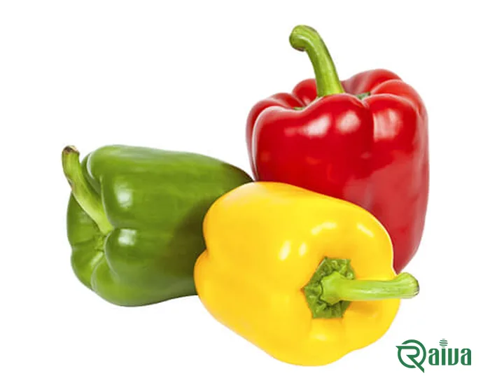 Red, yellow and green bell peppers