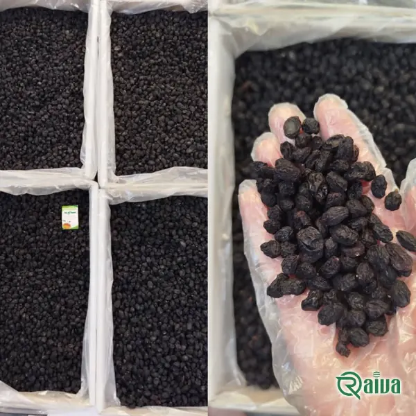 Dark seedless black raisins in a pale bowl (view 5)