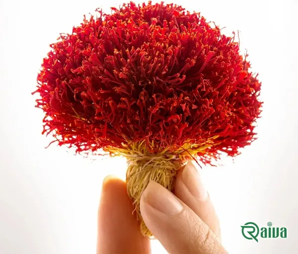 Bunches of red saffron filaments with their pale yellow styles, in a wooden bowl (view 2)