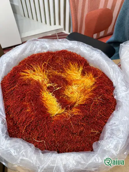 Bunches of red saffron filaments with their pale yellow styles, in a wooden bowl (view 3)