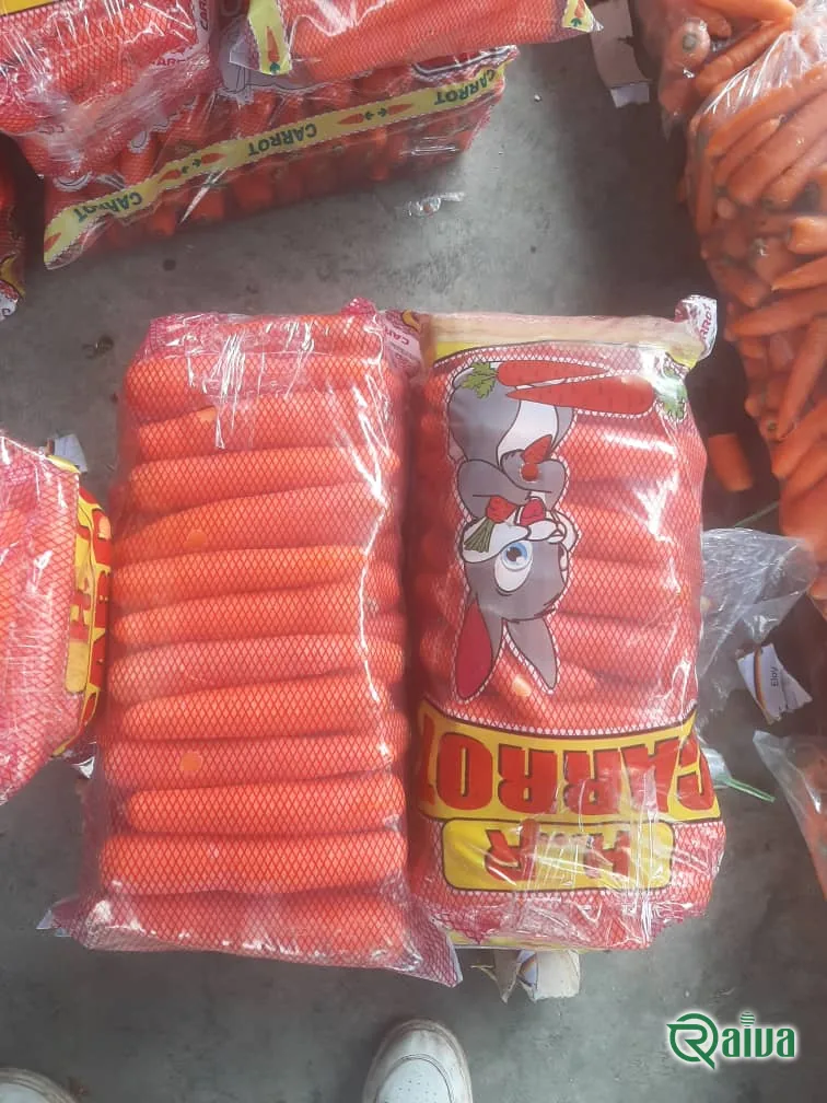 Carrot — Raiva Food export