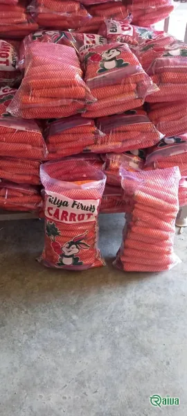 Carrot — Carrot washing, grading and sacking