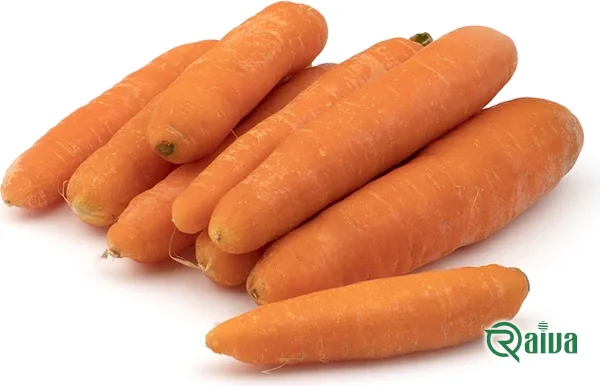 Washed carrots packed for retail supply (view 16)