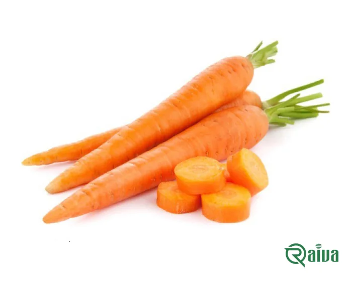 Orange carrots with their green tops, beside cut rounds