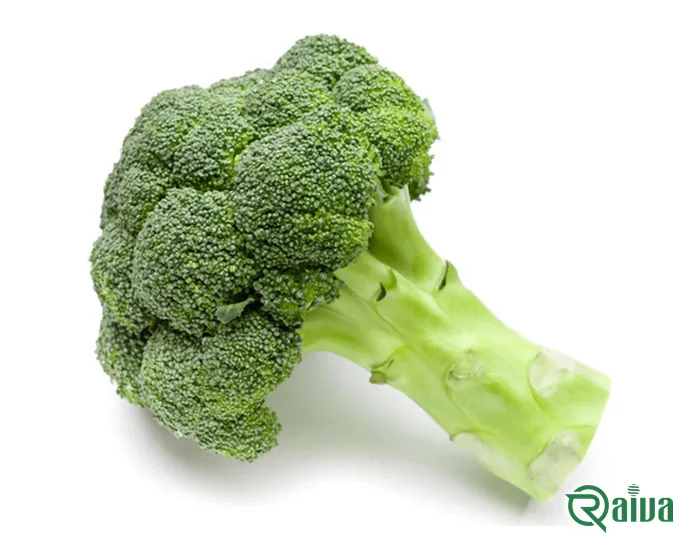A trimmed head of green broccoli