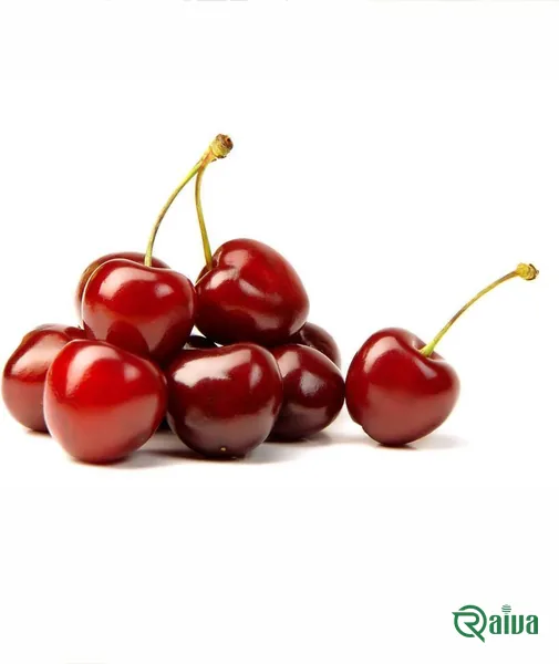 Dark red cherries in crates at the packing house (view 16)