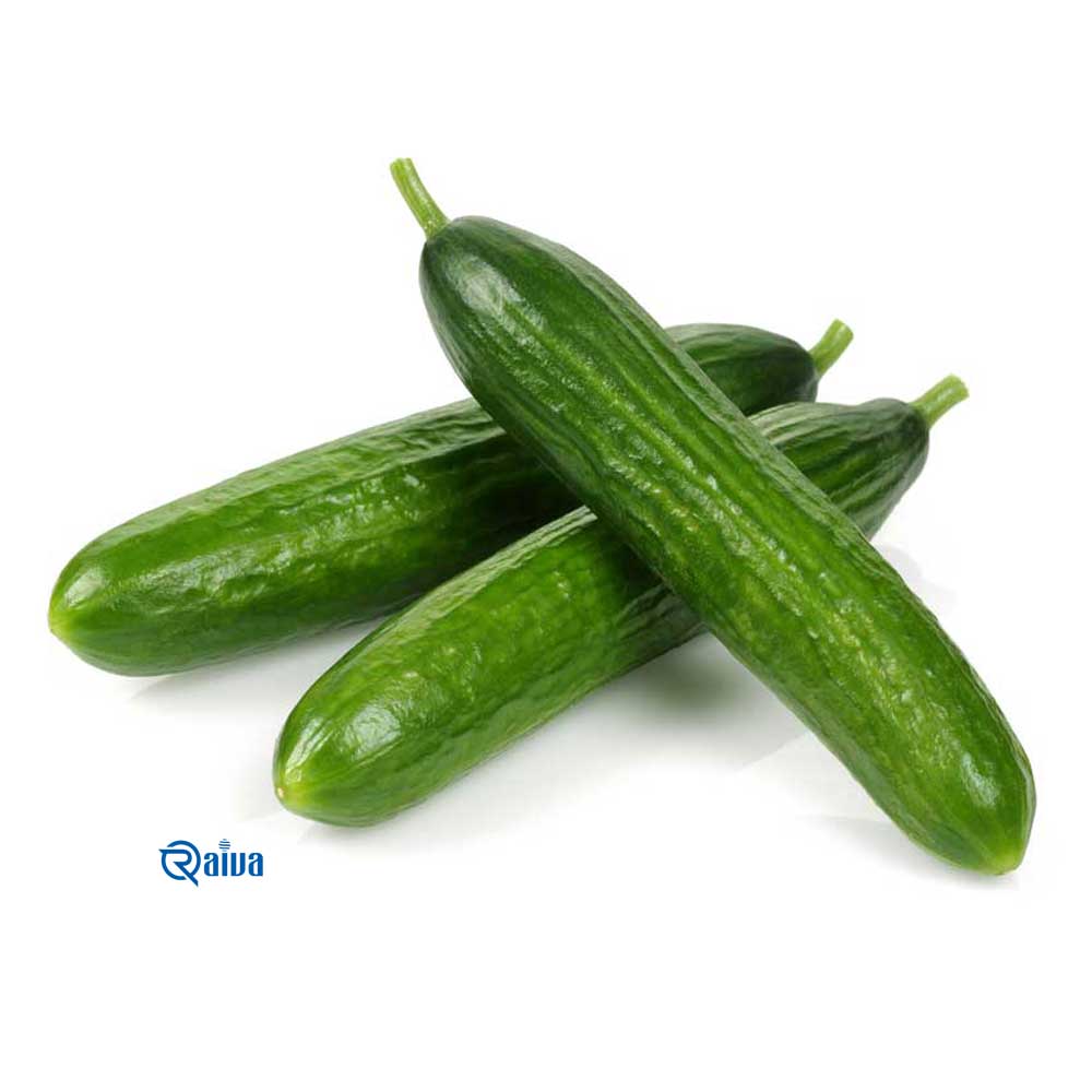 Cucumber — Raiva Food