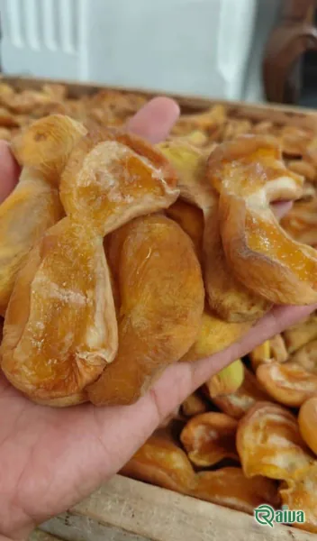 Loose orange dried apricot halves (view 7)