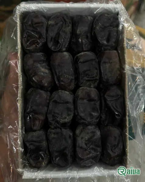 Dry Dates — Date sorting, grading and packing