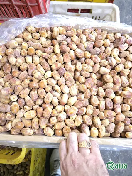 Dry Dates — Date sorting, grading and packing
