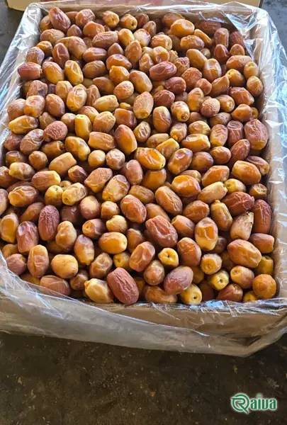 Dry Dates — Date sorting, grading and packing