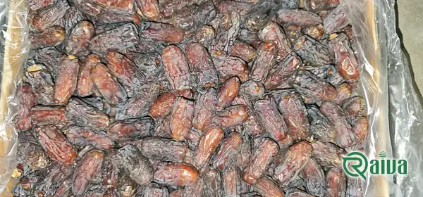 Dry Dates — Date sorting, grading and packing