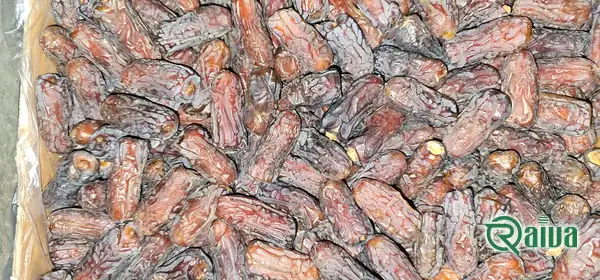 Dry Dates — Date sorting, grading and packing