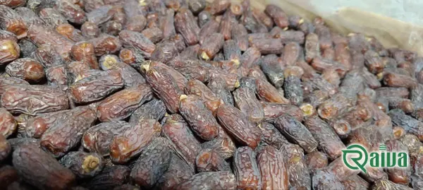Dry Dates — Date sorting, grading and packing