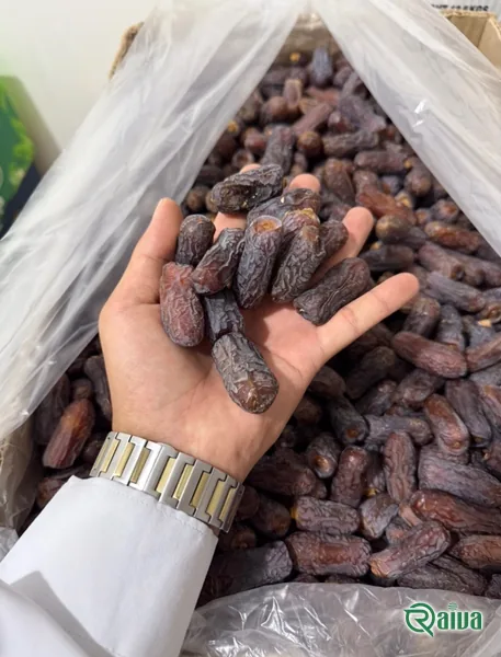 Dry Dates — Date sorting, grading and packing