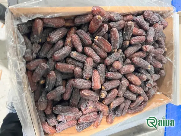 Dry Dates — Date sorting, grading and packing