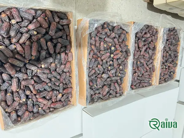 Dry Dates — Date sorting, grading and packing