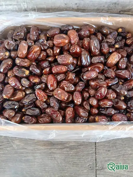Dry Dates — Date sorting, grading and packing