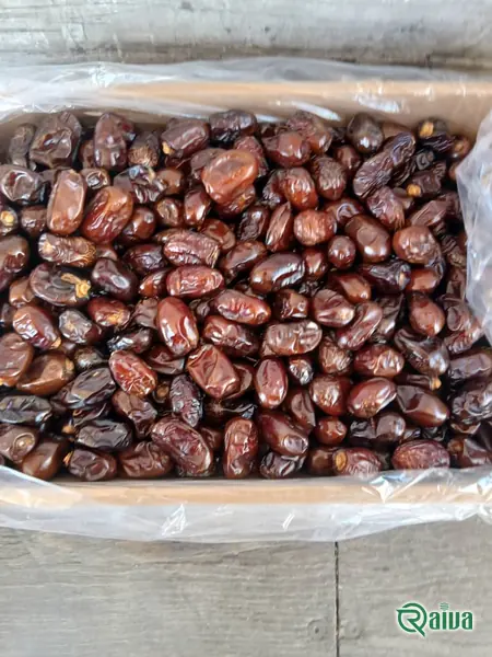 Dry Dates — Date sorting, grading and packing