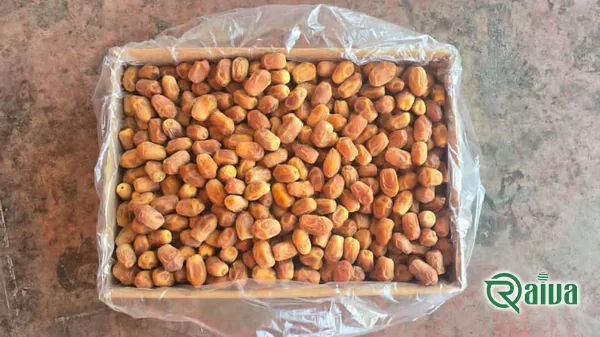 Dry Dates — Date sorting, grading and packing