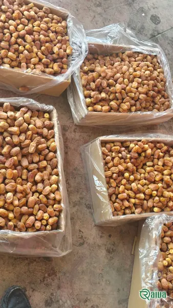 Dry Dates — Date sorting, grading and packing