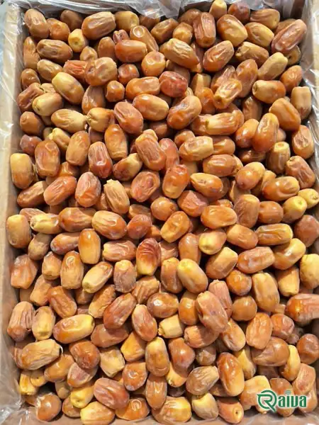Dry Dates — Date sorting, grading and packing