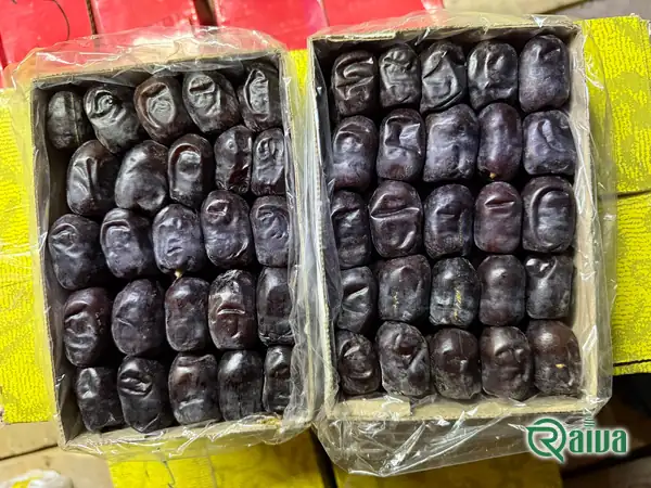 Dry Dates — Date sorting, grading and packing