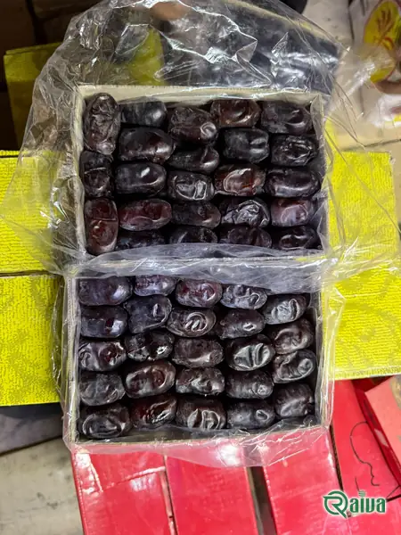 Dry Dates — Date sorting, grading and packing