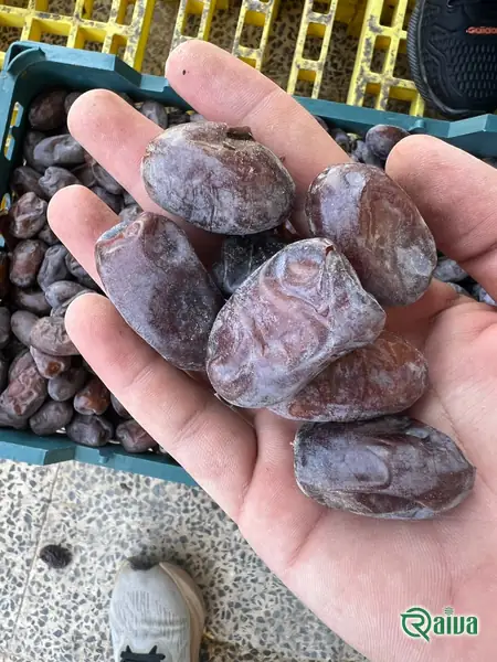 Dry Dates — Date sorting, grading and packing