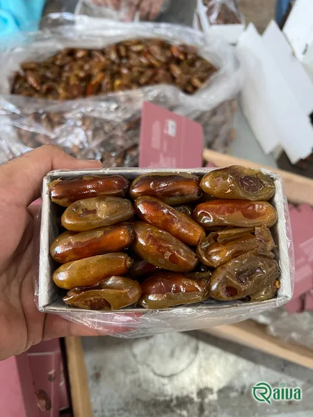 Dry Dates — Date sorting, grading and packing