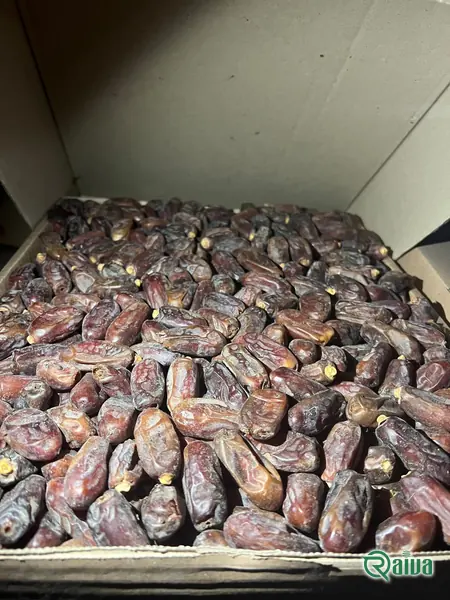 Dry Dates — Date sorting, grading and packing