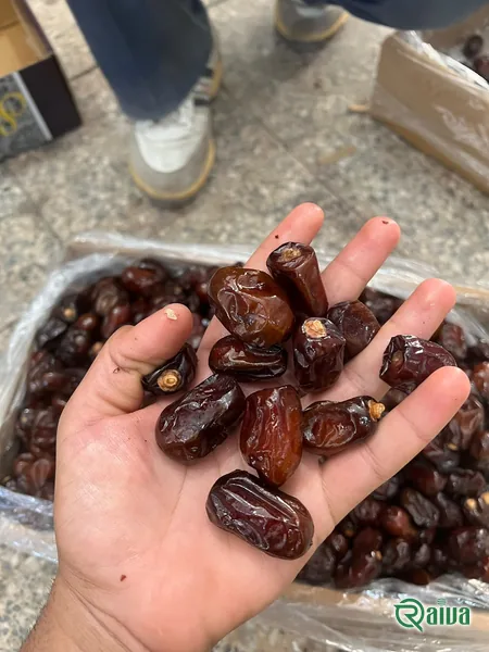 Dry Dates — Date sorting, grading and packing