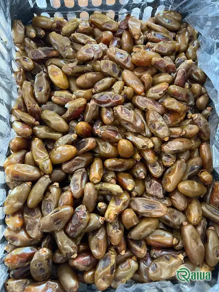 Dry Dates — Date sorting, grading and packing